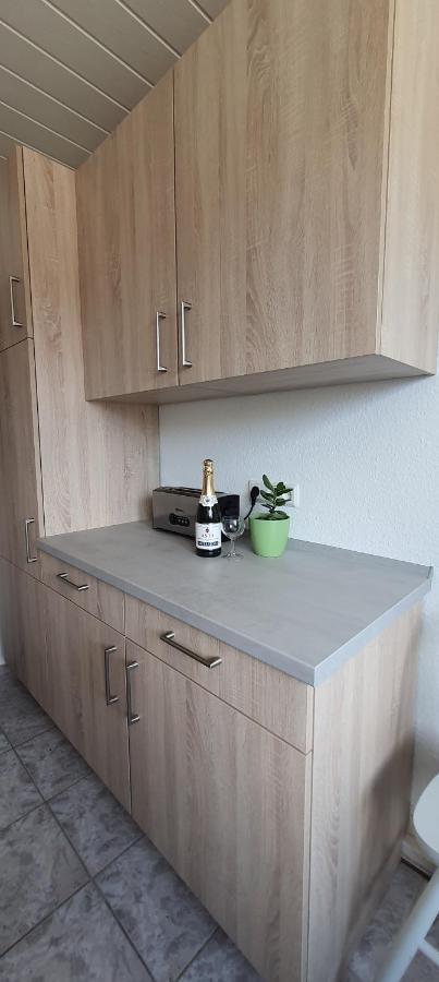 Ferienwohnung Schuur - Harz Hasselfelde Bagian luar foto